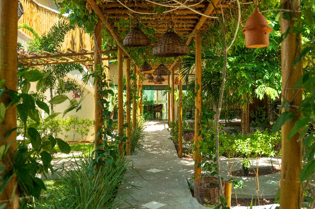 DSC09501